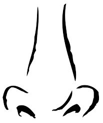 Front Nose Drawing Nose Drawing Cartoon Noses Anime Nose