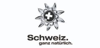 Geschäftsausstattung, corporate design, corporate identity. Gosnow Schweizer Schneesportinitiative Uber Uns