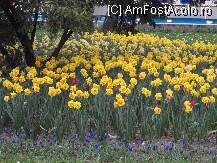 Aflati promotiile si rasfoiti cel catalog in martie. Poate O Mini Vacanta Reusita In Pitesti Impresii DescoperÄƒ PiteÈ™tiul È™i Imprejurimile PiteÈ™ti Amfostacolo