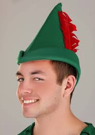 Adult Storybook Peter Pan Fancy Dress Costume Medium : Amazon.it: Moda