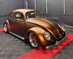 Image result for Medium Brown 1950 Beetle