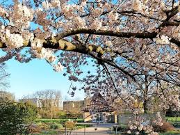 Der frühling zeigt sich in hamburg: Fruhling In Brandenburg So Schon Sind Die Fruhlingsbilder Der Maz Leser