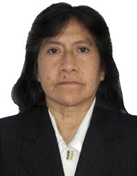 Directorio de Recursos Humanos afines a la CTI