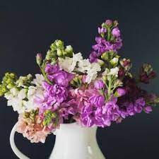 Post your items for free on offerup. Longbourn Blooms Longbournblooms Profile Pinterest