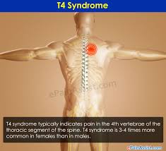 Pin On Back Pain
