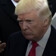 Lynette Daly's Instagram, Twitter & Facebook