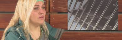 Update: Former, current McKamey workers say center ignored concerns over  animal safety