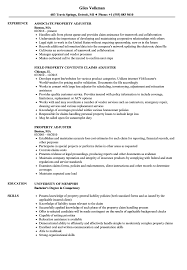 property adjuster resume samples