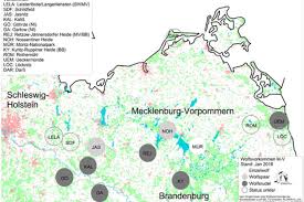 124), was etwa dem wert von slowenien entspricht und im deutschen vergleich den letzten platz bedeutet. Wolfe Nabu Mecklenburg Vorpommern