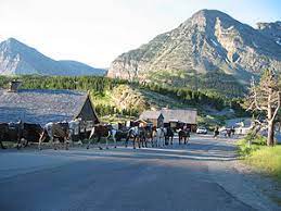 This small town has a historic past, tied to the railroad and the people coming to the region to experience the wonders of glacier park. Glacier National Park Wikitravel