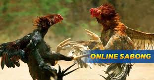 Pitmaster Casino Sabong