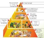 Consider rabies vaccination before your trip if your activities mean you will be around dogs or wildlife . Food Based Dietary Guidelines Sri Lanka