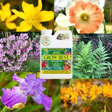 These are the plants which will live from. Grow Best Outside Plants Plants Spring Garden