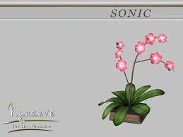 Sonic Dining Room Orchid Found In Tsr Category Sims 4 Plants Sims 4 Custom Content Sims 4 Sims