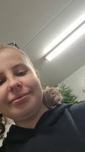 Rescued cat with disabilities finds a loving home