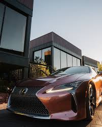 Image result for Autumn Shimmer 2019 LC