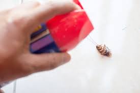 Typical entry points include around door and window frames, electrical outlets. A Guide To Home Pest Control
