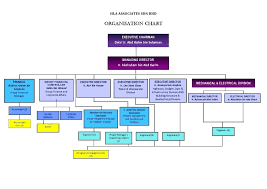 All Inclusive Management Hierarchy Chart Template Project