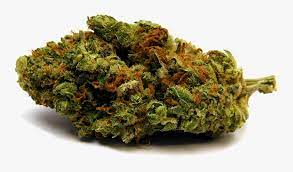 Weed Nugget Png Scale Model Transparent Png Transparent Png Image Pngitem
