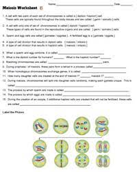 Mitosis worksheet and diagram identification. Meiosis Worksheet Key By Biologycorner Teachers Pay Teachers