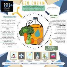 Salah satu perbedaannya terletak pada dapat terurai atau tidak. Earth Hour Malang Sejuta Manfaat Mengolah Sampah Organik Menjadi Eco Enzyme