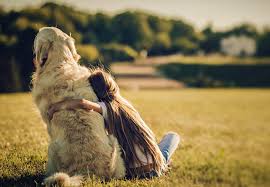 If you are not a sarasota county resident, you will be provided with all the paperwork you need to obtain a rabies license and tag in your county. Sarasota Veterinarian Southgate Animal Hospital