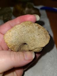 What is the identity of this Yazoo County find?