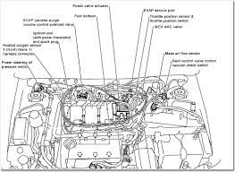 1997 nissan maxima engine diagram. 1996 Nissan Maxima Engine Diagram Wiring Diagrams Enfix Seat Fame Seat Fame Scuoladellinfanziataranto It