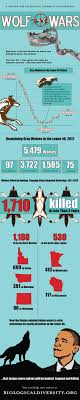 Wolf Wars Infographic Shows The Plight Of Wolves Across The United States Wolf Endangered Animals Grey Wolf