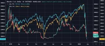 Another asset that has seen some correlation with the price of bitcoin is avocados. Fipw Tvh0rjmqm