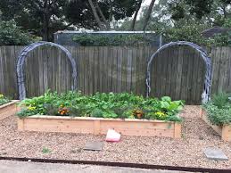 10 Years 4 Cities 8 Gardens Nicole Burke S Kitchen Garden Journey Gardenary In 2020 Vegetable Garden Design Garden Layout Vegetable Kitchen Garden