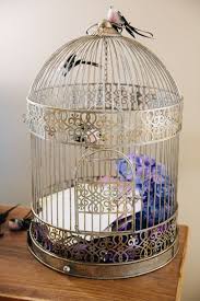The home i grew up on backed onto a forest, which was great. Using Bird Cages For Decor 66 Beautiful Ideas Digsdigs