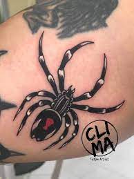 That's why choose spider tattoo to shock people or to attract their attention to your person! Tattoo Uploaded By Stefano Ponzo Traditional Spider Tattoo Traditionaltattoos Traditional Tattoo Ink Inktattoo Inked Spider Traditionalspider Tattoocollector Tattoocommunity Blackwork Tattooist Tattooer Tattoo2me Traditional Tattoos
