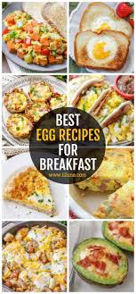 We did not find results for: 25 Easy Egg Recipes Perfect For Breakfast Lil Luna