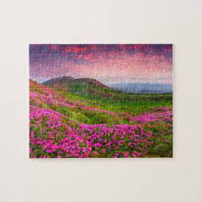  florence cityscape jigsaw puzzle. Beautiful Scenery Jigsaw Puzzles Zazzle
