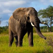 Karen and Brent Bertram