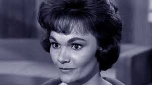 Perry Mason: Season 4, Episode 18