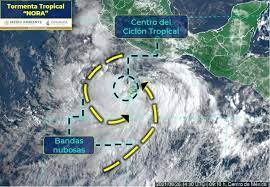 Lee online la novela romántica amenaza de tormenta de nora roberts. 7v3pfmxmalcs0m