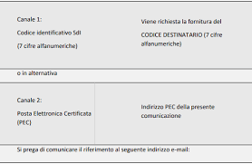 Si utilizza il codice numerico 0000000 (sette volte zero) nel caso in cui il cliente non fornisca né un indirizzo di posta elettronica certificata né un codice destinatario. Fattura Elettronica Stnnet It
