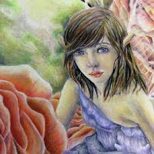 Bilby Drawing by Kelsey Bird