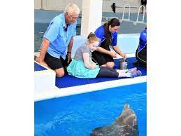 Download Winter The Dolphin Reunited With Rescuer 14 Years Later Clearwater Fl Patch