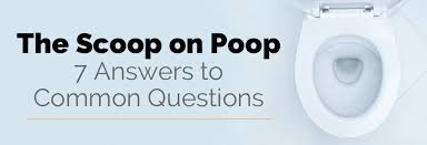 the scoop on poop gastrointestinal