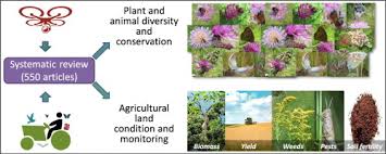 Keystone heights fl real estate & homes for sale. Unmanned Aerial Vehicles For Biodiversity Friendly Agricultural Landscapes A Systematic Review Sciencedirect