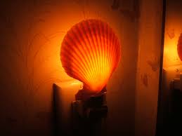 Shell Night Lights Real Seashell Decorative Nitelites
