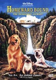I Still Cry Childhood Movies Dog Movies Kids Movies