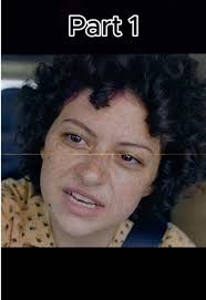 Border Patrol Drama and Fake Passport Confessions