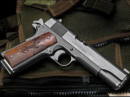 Image result for Strata Blue 1991 Colt