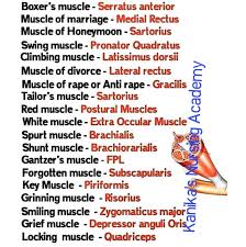 Insertion, medial surface of shaft of extensor muscle of little finger: Special Names Of Muscles Kanika S Nursing Academy Facebook
