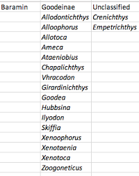 Baraminology Of Goodeidae In His Image