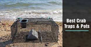 Greeting from cambodia!today i want to show you about: Best Crab Traps Pots With Blue Pier Fishing Dungeness Reviews 2021